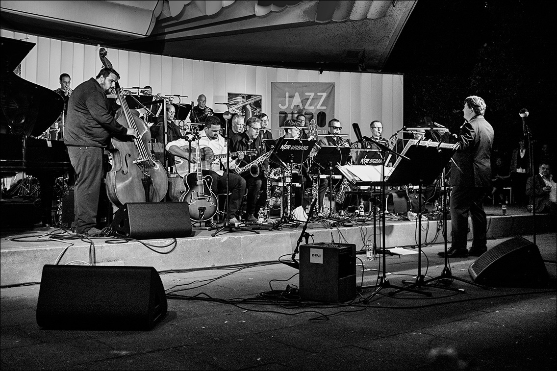 NDR Bigband feat. Django Deluxe beim Jazz Open Hamburg am 2. September 2017 in Planten un Blomen · www.butschinsky.de