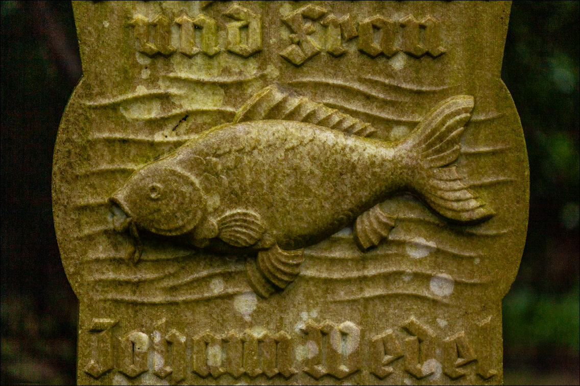 Fotografie für einen Ausstellungskatalog zur Sonderausstellung »Mensch, Fisch!«, Landesmuseum Natur und Mensch, Oldenburg · Kunde: Dipl.-Biologin Kirsten Preuss (2012)