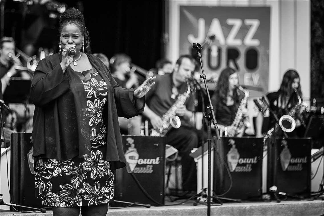 Count Pauli Big Band · Jazz Open Hamburg 2012 · Planten un Blomen · Foto: Michael Wassenberg · www.butschinsky.de