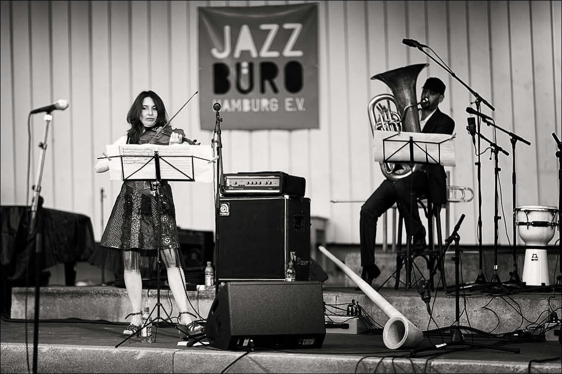 United Color Ensemble · Jazz Open Hamburg 2010 · Planten un Blomen · Foto: Michael Wassenberg · www.butschinsky.de