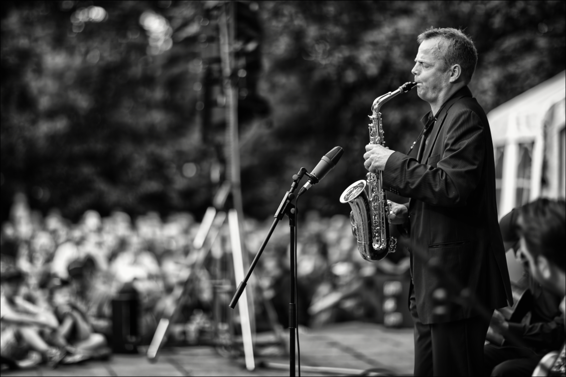 Django Deluxe · Jazz Open Hamburg 2013 · Planten un Blomen · Foto: Michael Wassenberg · www.butschinsky.de