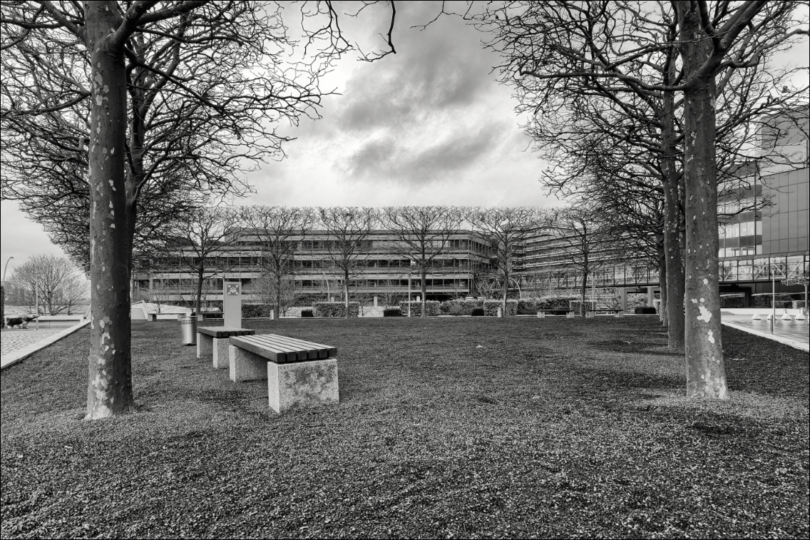 City Nord · 2024-11-17 · Michael Wassenberg · www.butschinsky.de