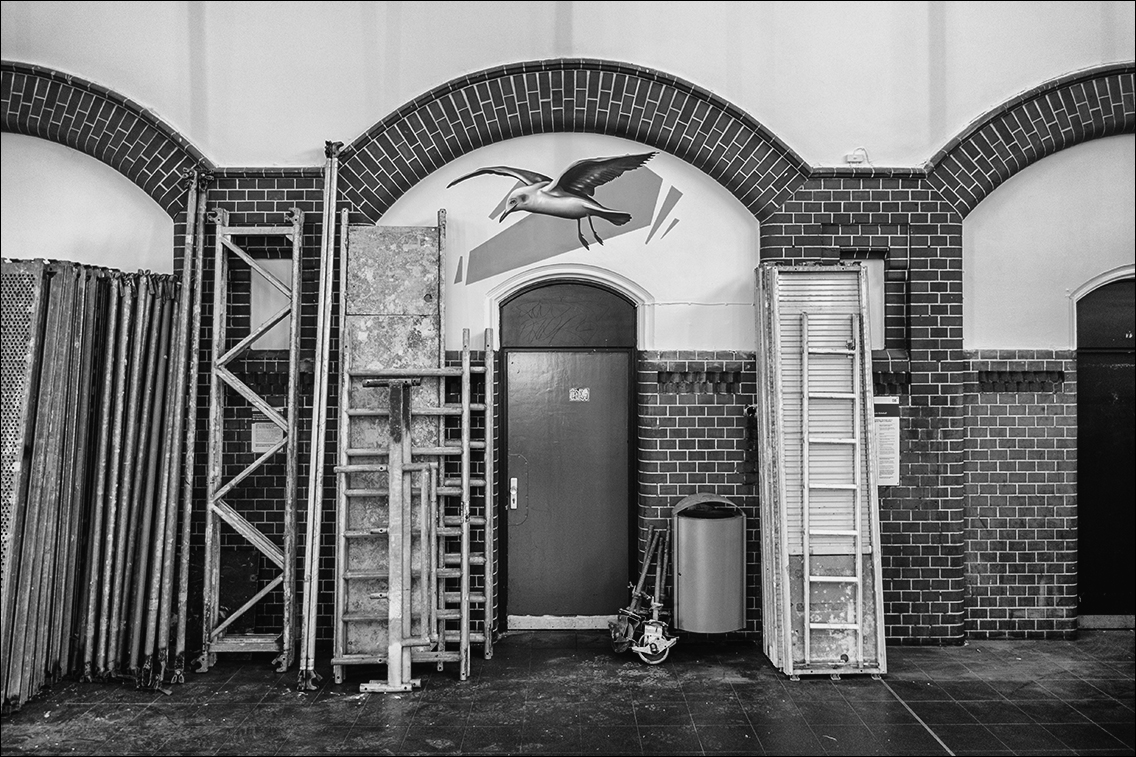 Tiere in der Großstadt · www.butschinsky.de · Michael Wassenberg