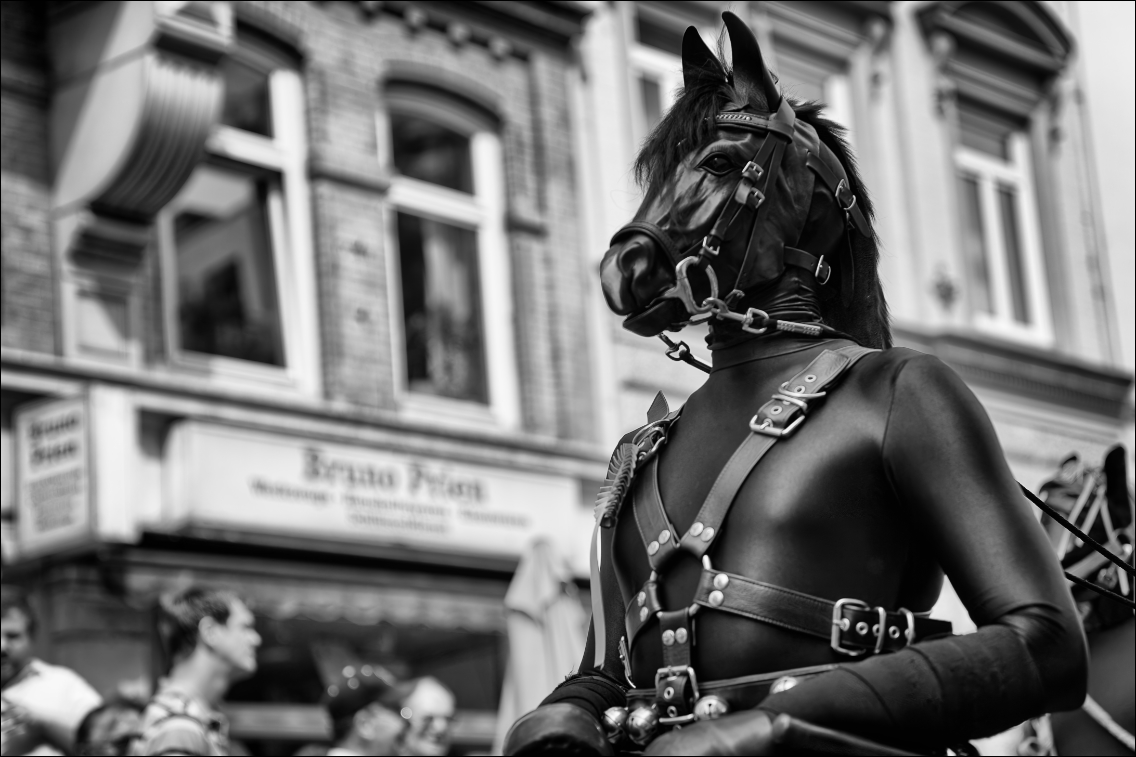 Christopher Street Day – Die Parade 2009 in Hamburg