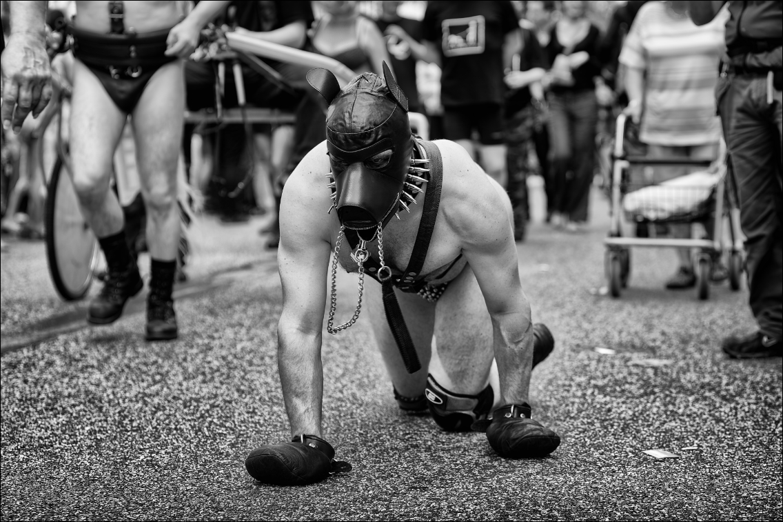 Christopher Street Day – Die Parade 2009 in Hamburg