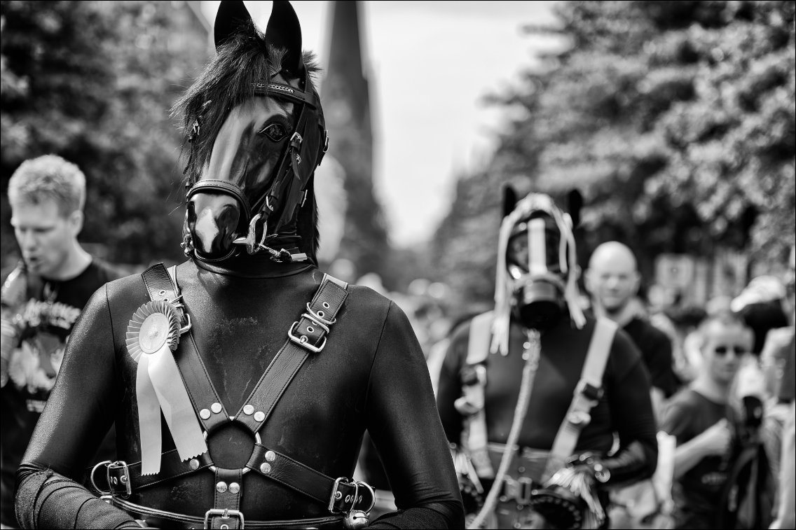 Christopher Street Day – Die Parade 2009 in Hamburg