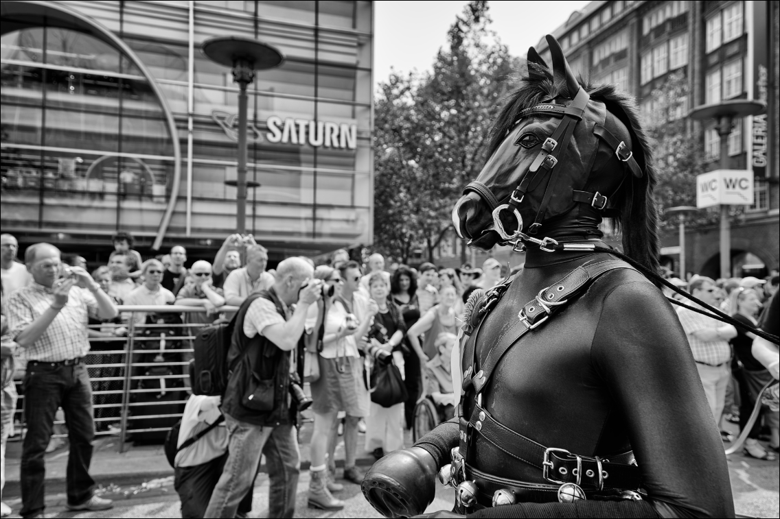 Christopher Street Day – Die Parade 2009 in Hamburg